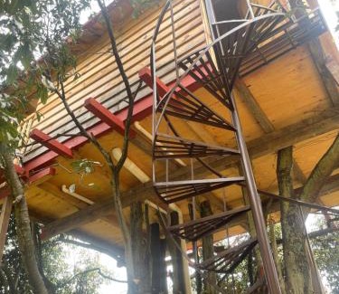 Toluca City-Centre Cabin | La cabaña