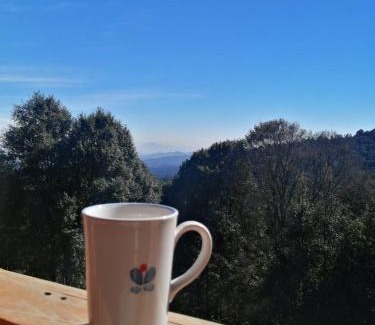 Toluca City-Centre Cabin | La cabaña