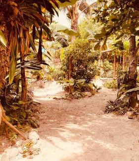 Mompiche House | La Caleta