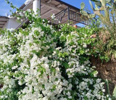 Lipari Villa | La casa blu superior