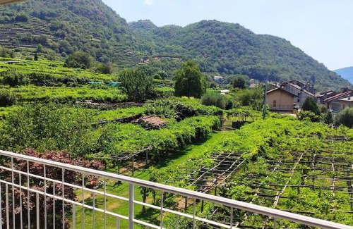 Carema Apartment | La casa dei nonni 3,0