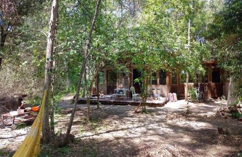 El Ensueno House | La casa del bosque