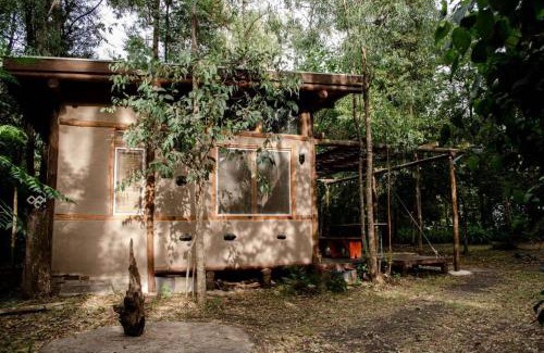 El Ensueno House | La casa del bosque