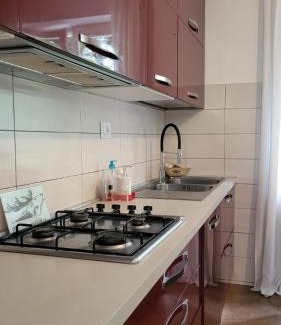 Val Canina Apartment | La casa delle rose