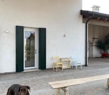 Piove di Sacco Apartment | La casa di Bruno