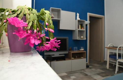 Sapri House | La Casa di Ermelinda