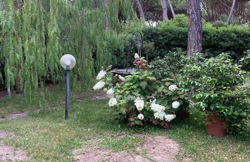 Principina a Mare Apartment | La Casa di Mishka