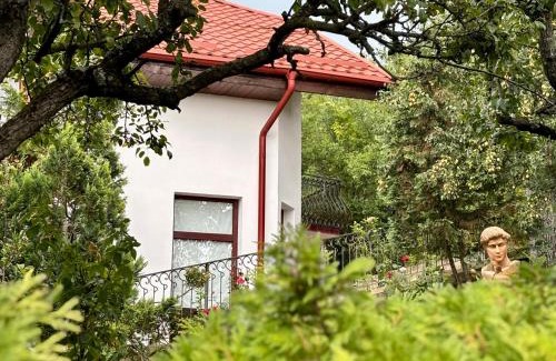 Ghioroc House | La casa di Oliver