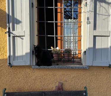 Montecalvo Versiggia Bed & Breakfast | La casa tra i vigneti