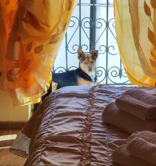 Caramanico Terme House | La casetta della nonna