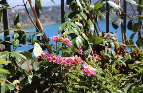 Castel Gandolfo Apartment | La Casetta Superior
