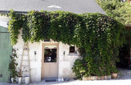 Blere House | La CASITA