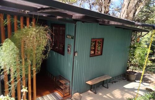 Jaramillo Apartment | La Casita Verde