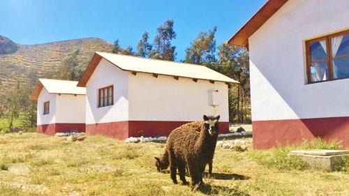 Putre Cabin | La Chakana Lodge