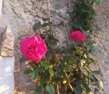 Navacelles Bed & Breakfast | La chambre de Seraphin