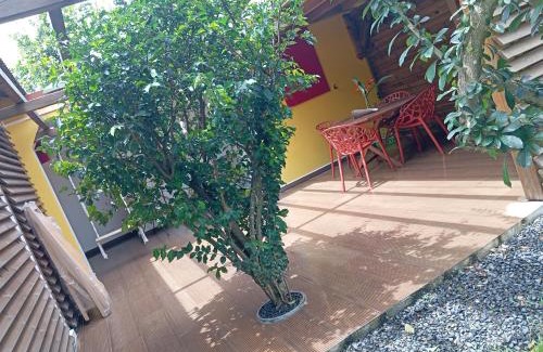 Sainte-Rose House | La Chambre Efrika