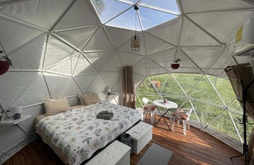 Canton Quepos Apartment | La Comarca River Glamping Dome near Manuel Antonio