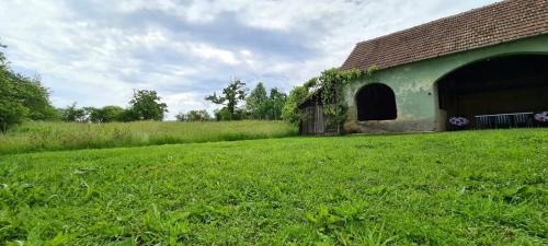 Salasu de Sus House | La Covaciu