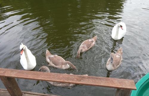 Fechain Other | La détente