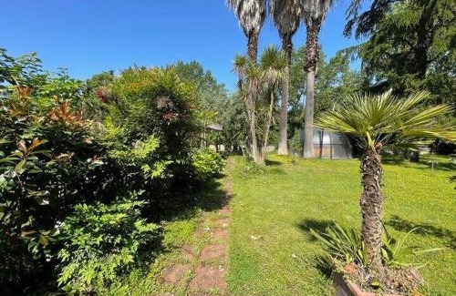 Gianicolo Villa | La Dolce Vita - A Tropical Garden in Rome