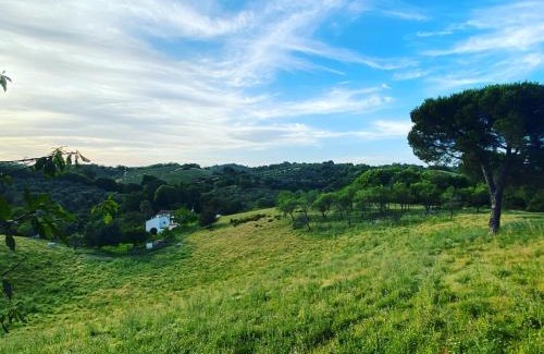 Constantina Villa | La Escribana