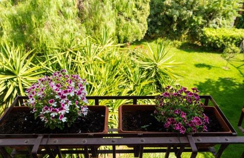 Mascalucia House | La fastuca casa vacanze