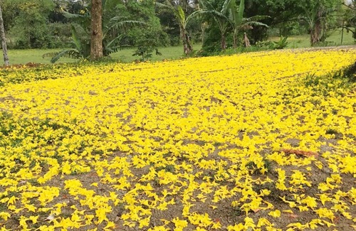 El Tanque Villa | La Fortuna Airport Villa