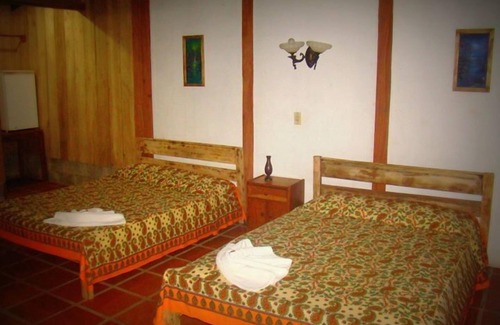 Quebrada La Gamba Cabin | La Gamba Rainforest Lodge