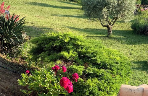 Grane House | La Grange, your Provencal getaway