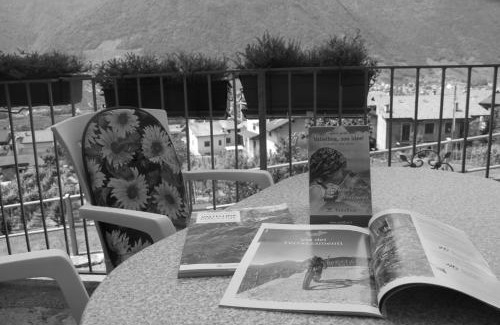 Villa di Tirano Apartment | La Madonnina