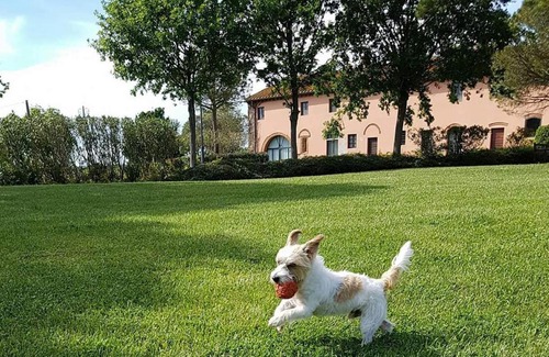 Fauglia Bed & Breakfast | La Magnifica B&B
