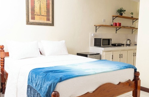 Roseau House | La Maison 29