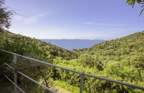 Cavalaire-sur-Mer Apartment | La Maison de Constance