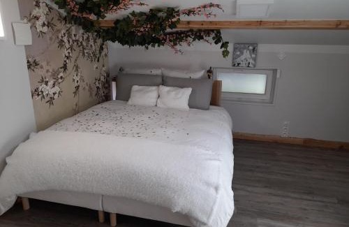 Saint-Bernard Bed & Breakfast | La maison du Bonheur - Chambre Tourterelle - borne de recharge VE