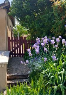Aubeterre-sur-Dronne Apartment | La Maison du Tourniquet