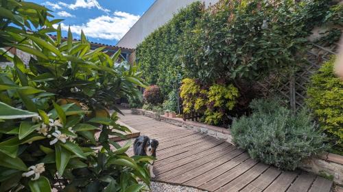 Prades House | La Maisonnette, ancienne bergerie avec accès au jardin