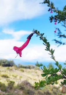 Huillanopampa Hotel | LA MANSION DEL SOL LODGE Taquile island