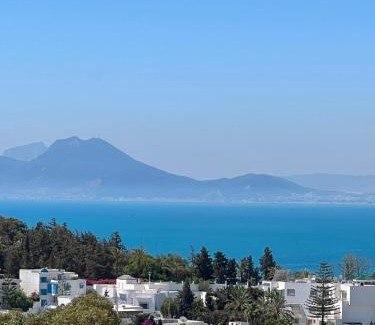 Sidi Bou Said House | La Menara Hotel & SPA