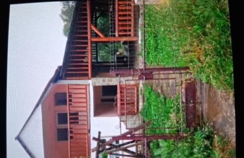 Bicaz House | La munte