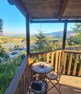 Metula Cabin | la noach