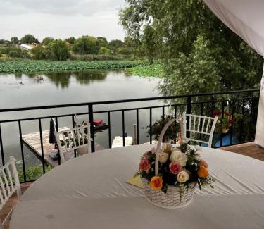 Snagov House | La nuferi lac to Therme & Aeroport Otopeni