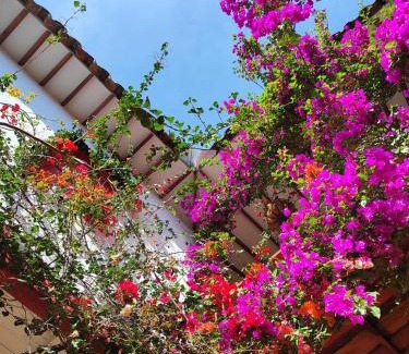 Jerico House | La Oculta Hostal