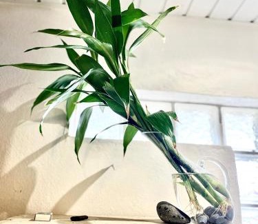 Matoury Apartment | La Pierre des Ducs