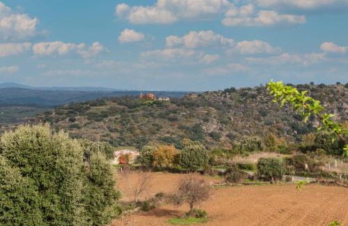 Perena House | La Plazuela I
