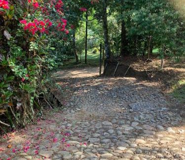 San Rafael House | La Posada de las Aves