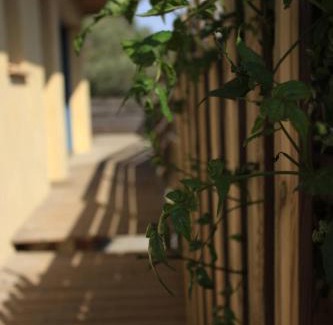 La Palme House | La Poussada, maisons écologiques avec vue mer