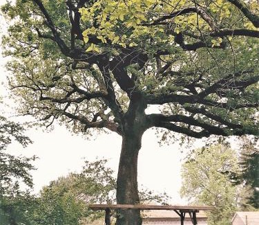 Caianello House | La Quercia di Aorivola
