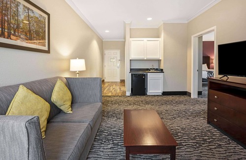 Egypt Hotel | La Quinta Inn & Suites by Wyndham Houston - Magnolia