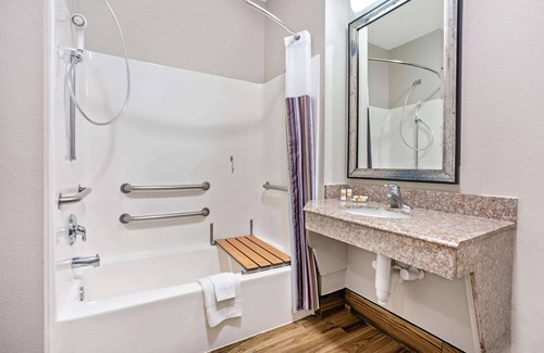 Egypt Hotel | La Quinta Inn & Suites by Wyndham Houston - Magnolia