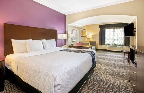 Egypt Hotel | La Quinta Inn & Suites by Wyndham Houston - Magnolia